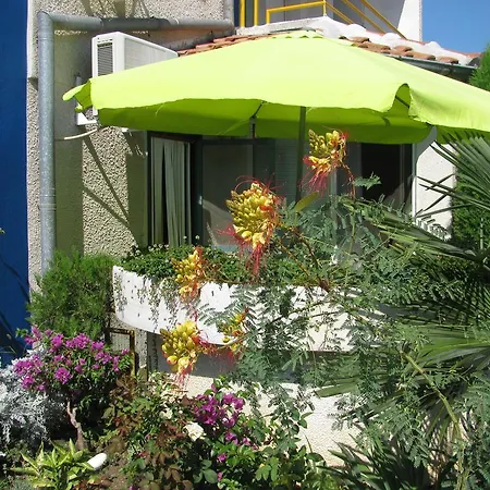 Sens צ'רנומורץ